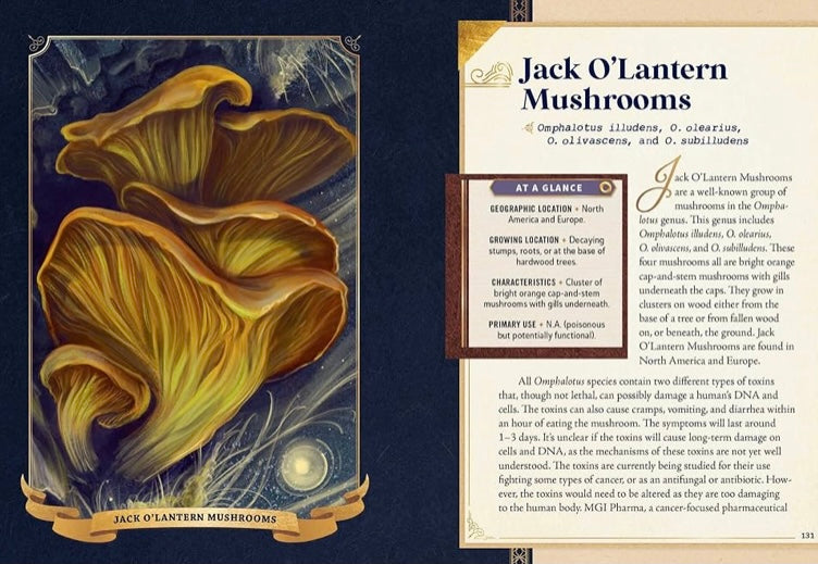 The Little Book Of Mushrooms by Alex Dorr