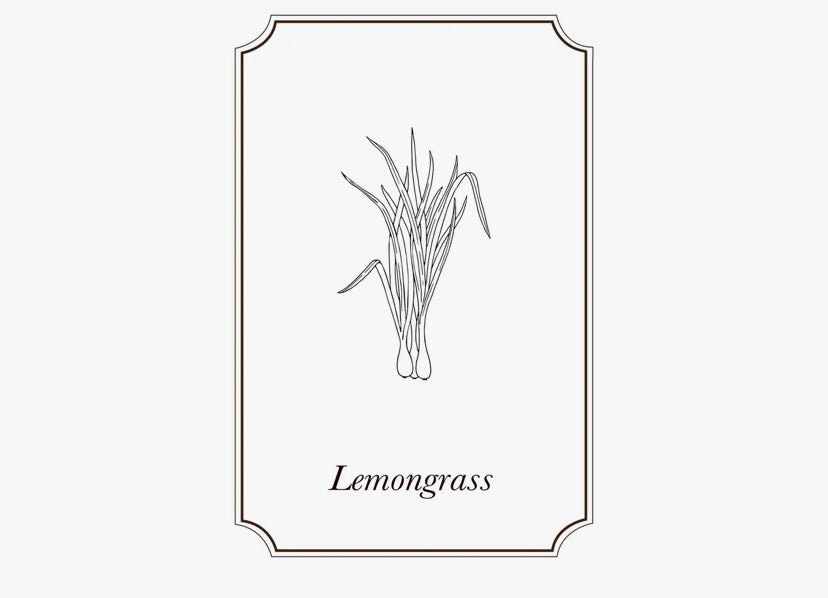 Napiers Lemongrass Essential Oil