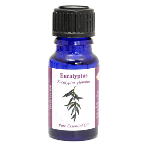 Eucalyptus Essential Oil